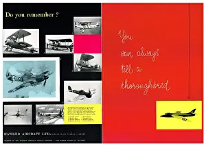 Thoroughbreds: Hawker Aircraft - Thoroughbreds