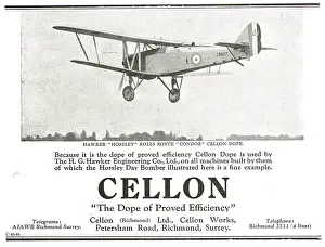 Horley: Hawker Dope The Horley Day Bomber With Cellon
