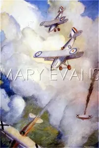 Dogfight: HAWKER FURY ACTION