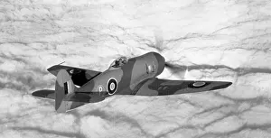 Protoype: Hawker Fury prototype NX802