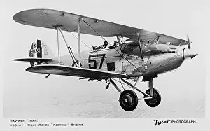Kestrel: Hawker Hart British light bomber biplane