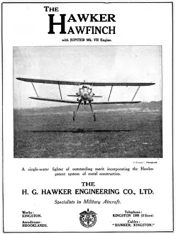 Hawfinch: Hawker Hawfinch 1929