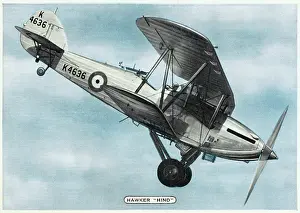 Essentially: HAWKER HIND