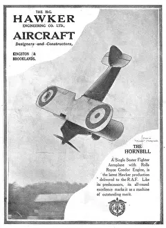 Hornbill: Hawker Hornbill