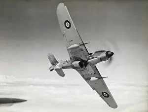 Mkiid: Hawker Hurricane Mk 2D