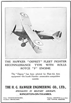Osprey: Hawker Osprey