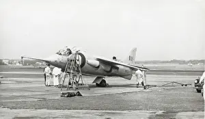 Kestral: Hawker P-1127 Kestrel
