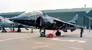 Harrier: Hawker Siddeley Harrier T.8 ZD993