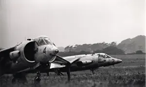 Kestrel: Hawker Siddeley Kestrel FGA1s
