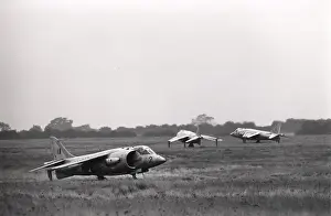 Kestrel: Hawker Siddeley Kestrel FGA1s