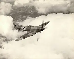 Tempest: Hawker Tempest I HM599