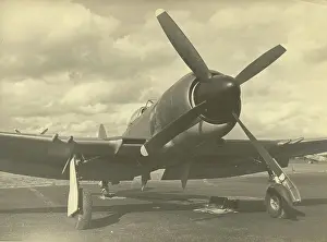 Tempest: Hawker Tempest II