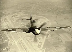 Tempest: Hawker Tempest II