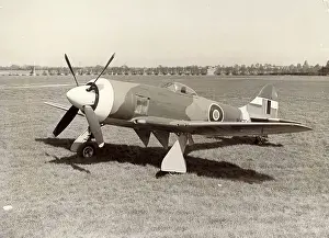 Tempest: Hawker Tempest II, MW7??