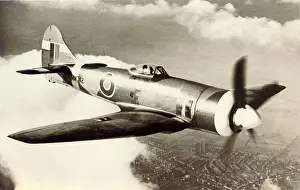 Tempest: Hawker Tempest II, MW742