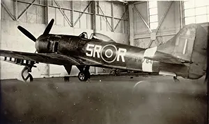 Tempest: Hawker Tempest II, PR784