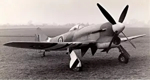 Dreaded: Hawker Tempest V -developed from the Typhoon, the Tempe
