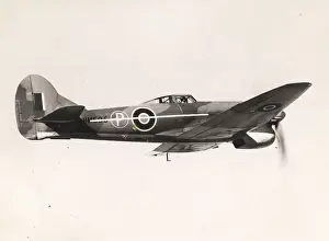 Tempest: Hawker Tempest V, HM595, with interim dorsal fin