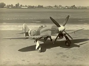Tempest: Hawker Tempest V JN729