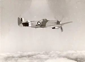Tempest: Hawker Tempest V, JN757