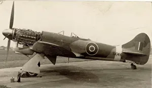 Tempest: Hawker Tempest VI, NX144