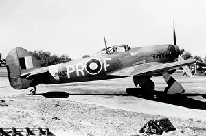 Mavis: Hawker Typhoon 1b (on the ground), DN406 of No609 Squad