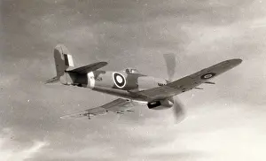 Typhoon: Hawker Typhoon IB, MN524