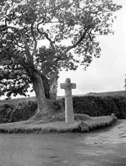 Buckfast: HAWSON CROSS
