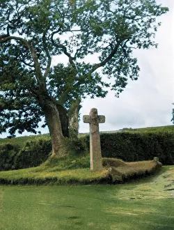 Buckfast: HAWSON CROSS