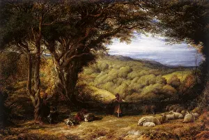 Hawthorn: Under the Hawthorn