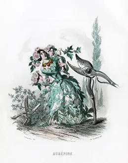 Secateurs: HAWTHORN & SECATEURS