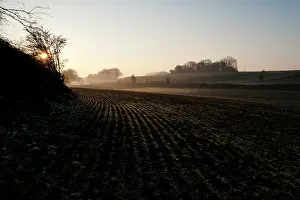 Hawthorn: Hawthorne Crater, Somme