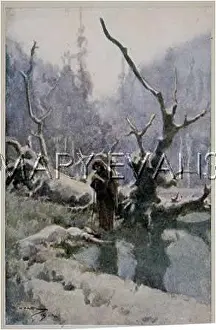 Ethereal: HAWTHORNE/WITCH/WINTER