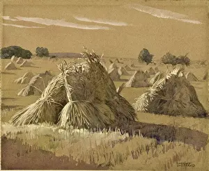 Bundles: Hay bales in the evening light