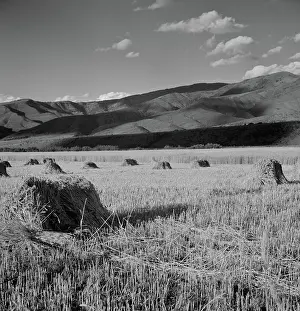 Wolcott: Hay - Field - Mountains - Landscape