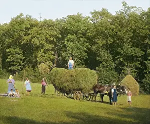 Pitchforks: Hay harvest