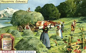 Scrape: Hay harvest
