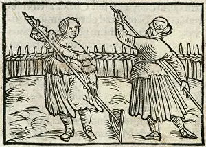 1553: HAY MAKING C16 GERMANY
