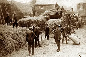 Alfreton: Hay making near Alfreton