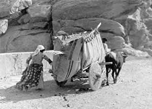 Kurdish: hay wagon in Iran, 1937