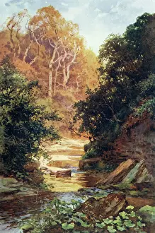 Wyke: HAYBURN WYKE