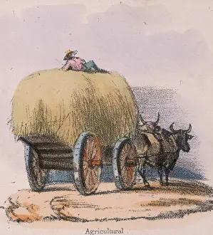Oxen: Haycart pulled by oxen. From Graphic Illustrations