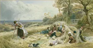 Myles: The Hayfield