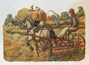 Hayfield: Hayfield