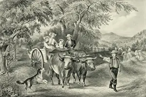 Haying: Haying-time the last load