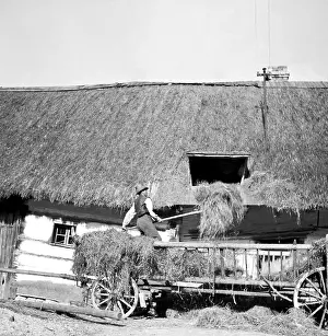 Hayloft: Hayloft