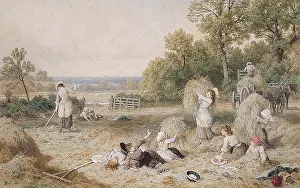 Birket: The Haymakers