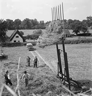 Pitchforks: Haymaking