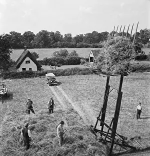 Pitchforks: Haymaking