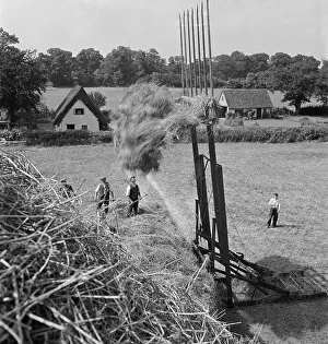 Munden: Haymaking